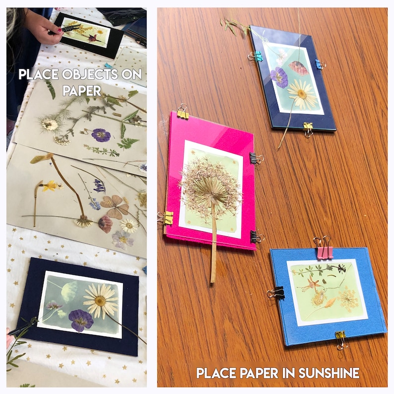 May include: A close-up of a craft project with the text "PLACE OBJECTS ON PAPER" and "PLACE PAPER IN SUNSHINE".  Four pieces of paper with pressed flowers and leaves are held in place with binder clips.