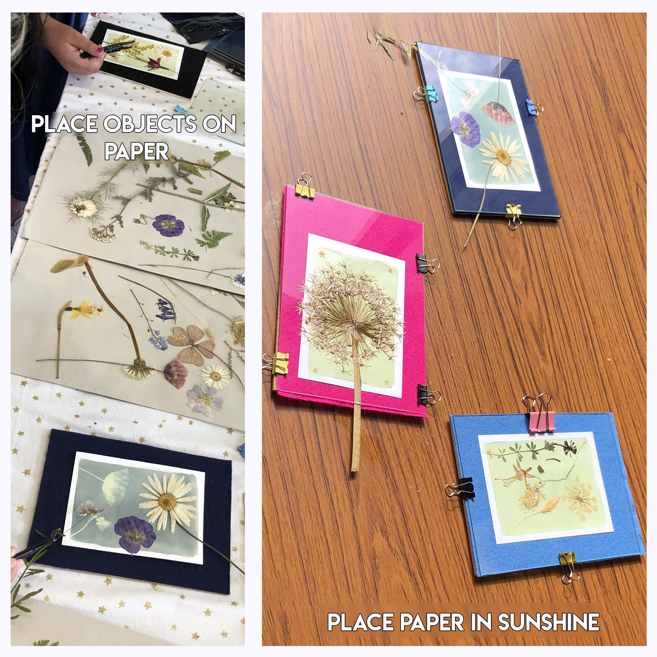 Kit Cianotipia 21 Pezzi - Carta Sensibile Al Sole A4 Per Stampa Blu Fai Da Te - Foto 3