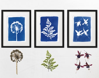 Cyanotype Print