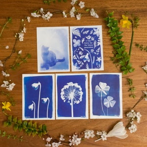 Ensemble de 3 cartes postales imprimées Cyanotype vierges - chat - allium - trèfle à quatre feuilles - carte de bravoure vaccinale