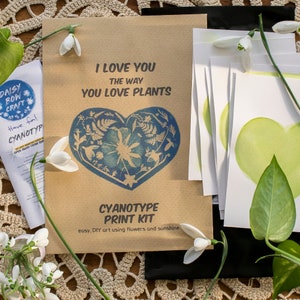 Kit per la stampa del sole in cianotipia di fiori e piante a tema amore