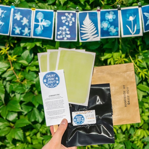 Kit cyanotype : kit d'impression solaire facile à utiliser par Daisy Bow Craft