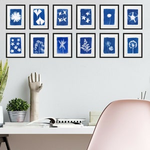 May include: A white wall with a gallery of 12 framed cyanotype prints of various plants and flowers. The prints are arranged in two rows of six. The wall is decorated with a potted snake plant, a small potted plant, and a decorative hand sculpture. A pink chair is in the foreground.