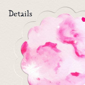 May include: A scalloped-edge tag featuring a pink watercolour wash pattern on a textured off-white background. The word Details is printed in a dark grey serif font in the upper left corner, positioned above the pink scalloped shape.