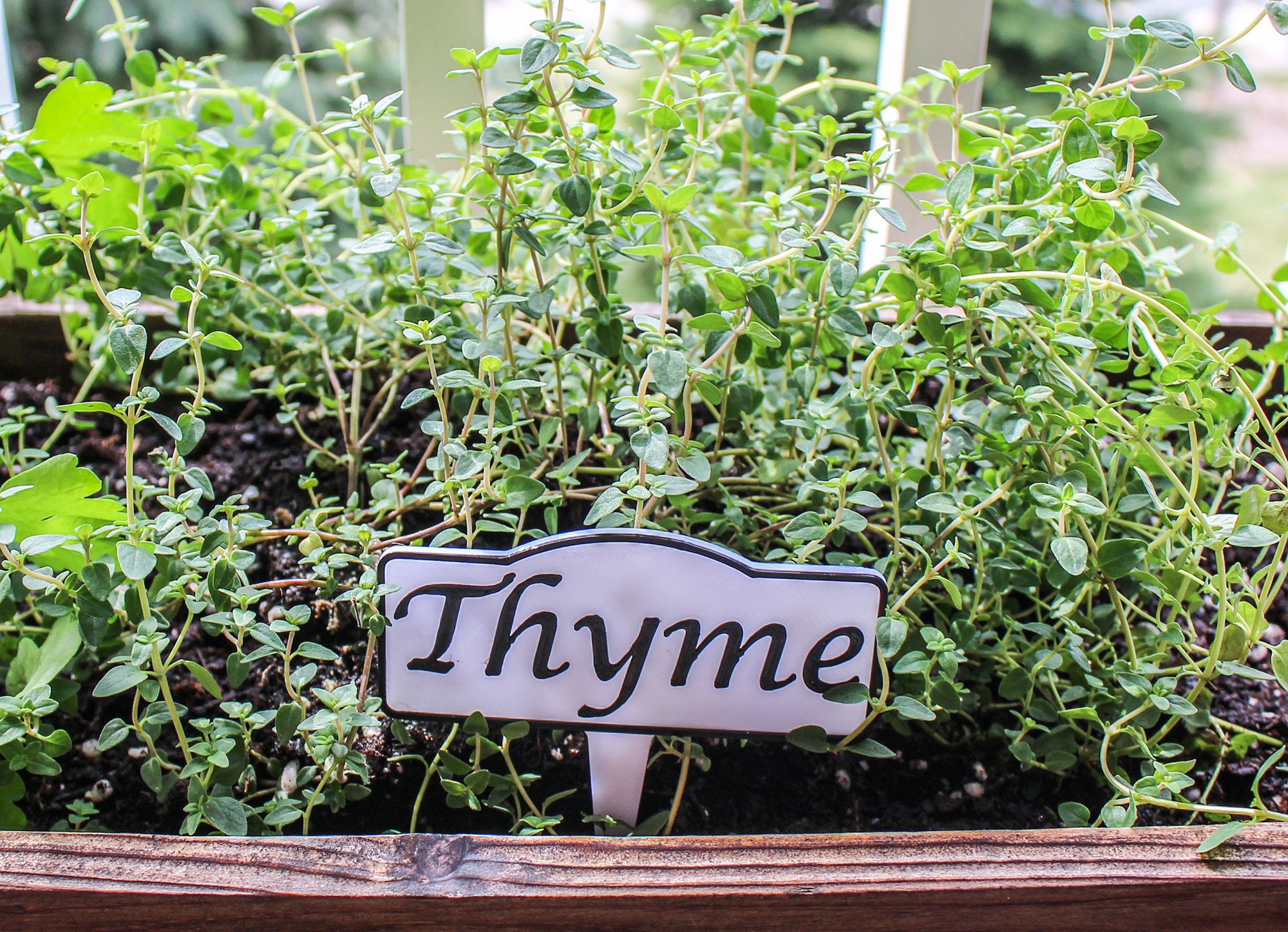 Custom Made Herb Garden Signs for Indoor or Outdoor Use Etsy