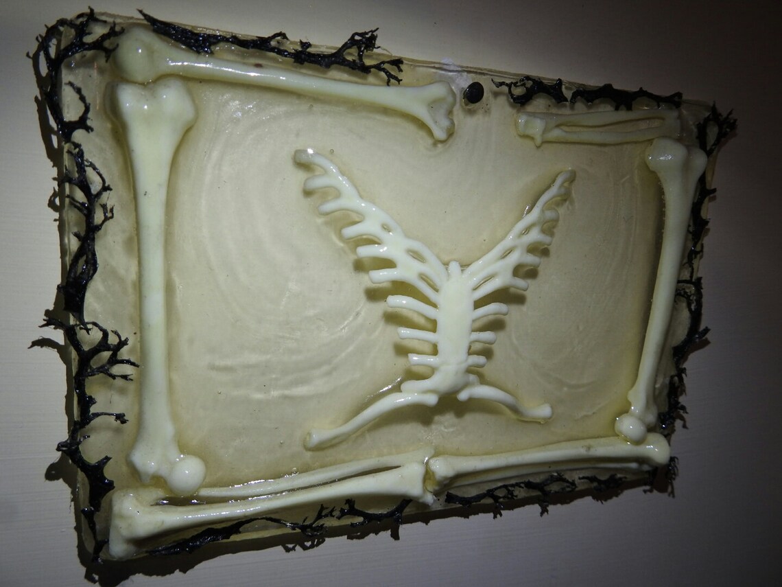 Checked in resin with bones resin framework with bones Etsy