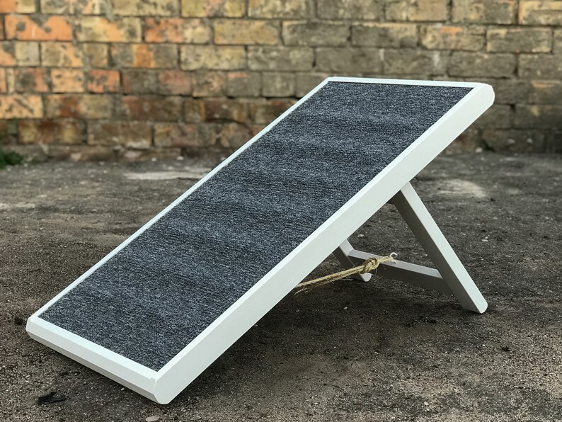 klein metal dog ramp