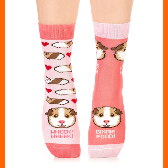 guinea pig socks