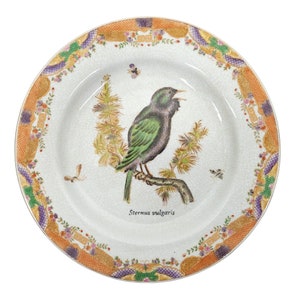 Wong Lee Decorative Plate Sternus Vulgaris Starling Bird Collectible Wall Plate Table Display