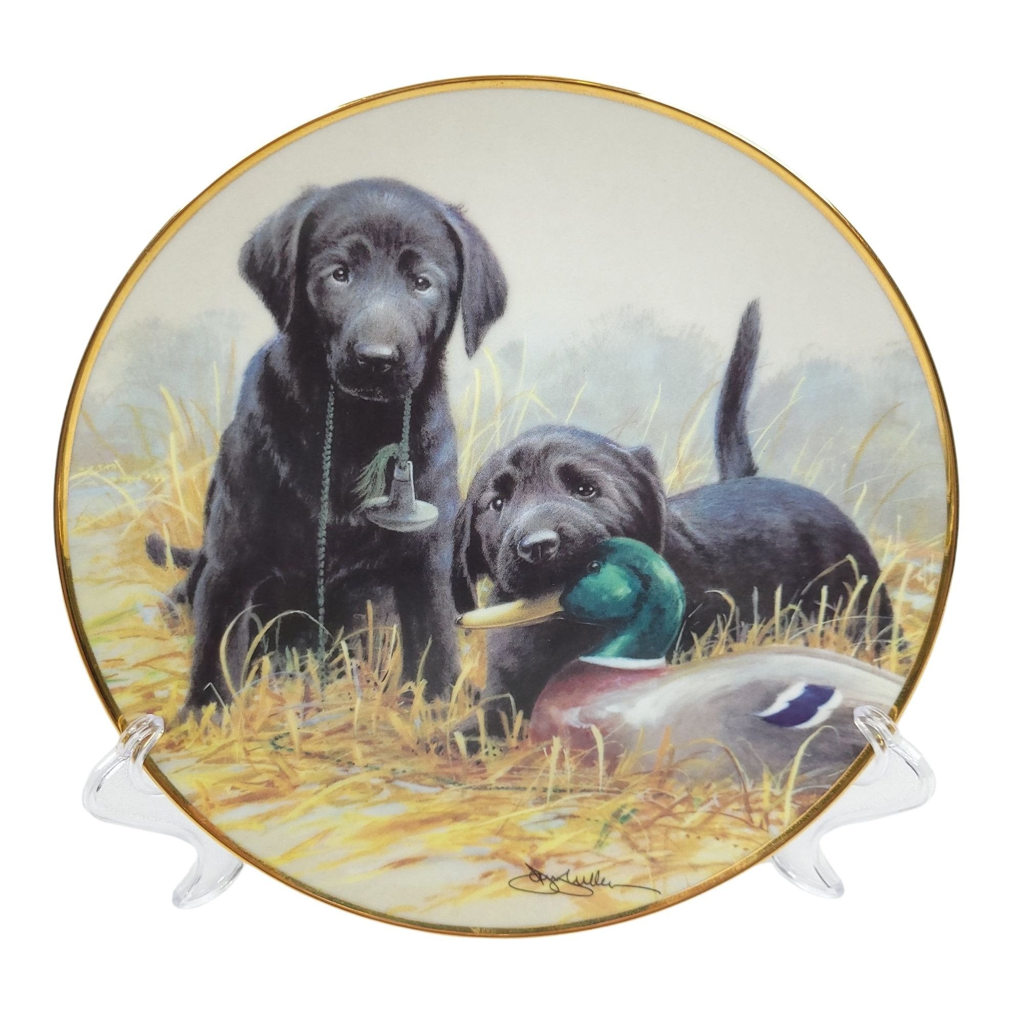 Royal Doulton Black Labrador Collector Plates Set of 4 Etsy