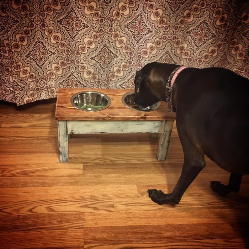 Dog feeders for Janesville area residents ONLY