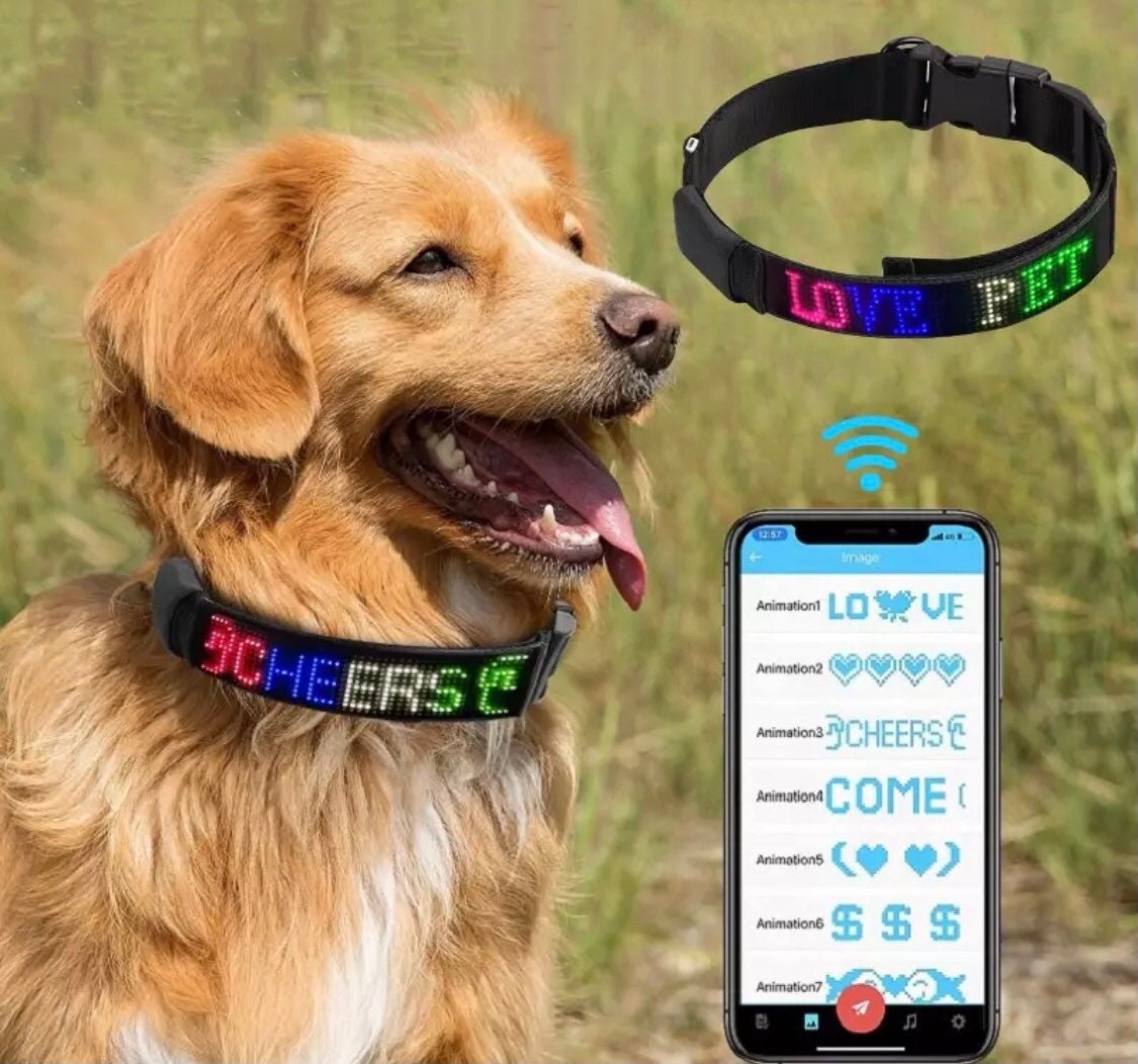 LED Dog Collar Programmable Display Custom Personalized Pet Etsy