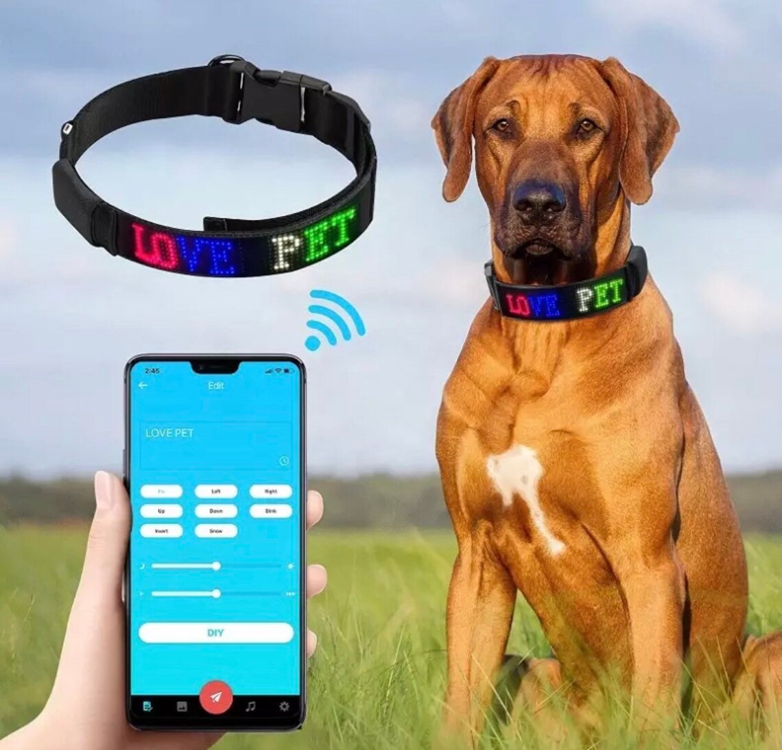 LED Dog Collar Programmable Display Custom Personalized Pet Etsy