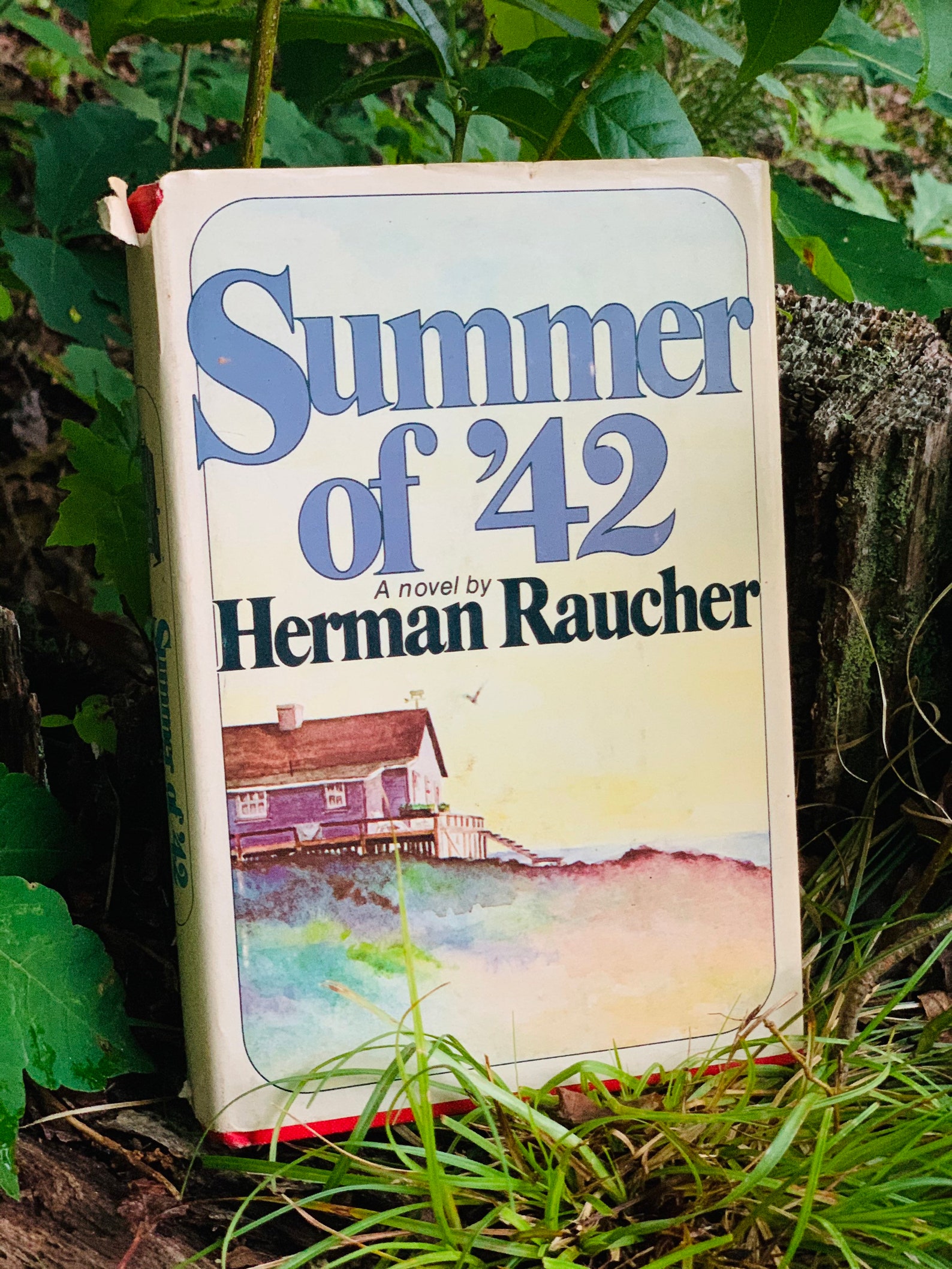 Vintage 1965 Summer of 42 By Herman Raucher Novel Book. | Etsy