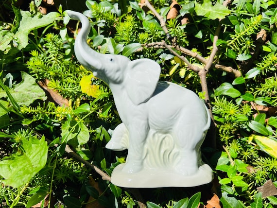 Small Elephant Ear Sponge - Columbus Clay Company
