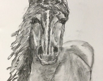 Friesian Horse, original charcoal drawing on paper, 11 x 14 inches, January 2024.