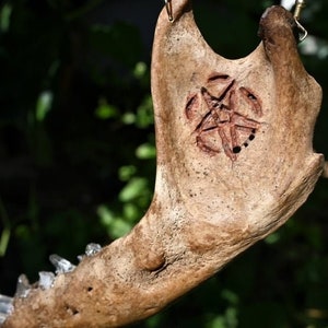 Quartz Tooth Sun Catcher