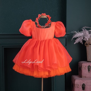 Orange Birthday Toddler Baby Dress, Flower Girl Dress, Puffy Sleeve, Organza Prom Gown, Special Occasion Baby Dress, Smash Cake Photoshoot