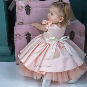 Peach First Birthday Photoshoot, Birthday Party Dress, Flower Girl Dress, Toddler Baby Dress for Special Occasion, Prom Ball Gown