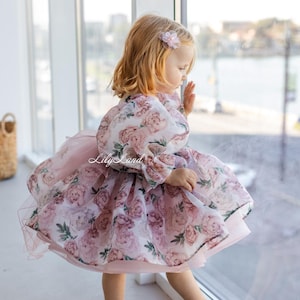 Floral Birthday Party Dress, Prom Ball Special Occasion Gown, Tutu Toddler Baby Pageant Dress, Long Sleeve, Flower Girl Dress, Photoshoot