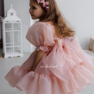 Powder Pink Birthday Party Dress, Tutu Pageant Puffy Dress, Flower Girl Dress, Prom Gown Special Occasion Baby Dress, Smash Cake Photoshoot