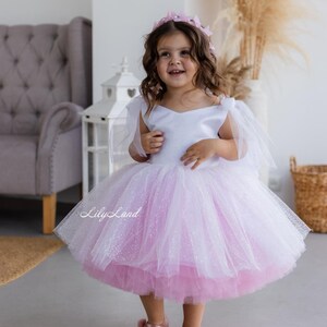 Blush Pink Dress, Tutu Birthday Party Dress, Baby Tulle Photoshoot Outfit, Flower Girl Prom Pageant Gown, Special Occasion Dress