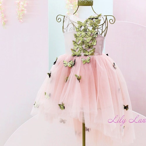 Butterfly Baby Birthday Dress Flower Girl Dress With Etsy