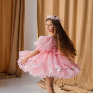 Pink Tutu Flower Girl Dress, Puffy Birthday Dress, Prom Ball Gown, Special Occasion Baby Dress, Smash Cake Photoshoot, Wedding Guest Dress