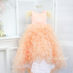 Girl birthday dress, baby dress with ostrich feathers, flower girl dress, first birthday dress, puffy baby dress, prom dress, ball dress