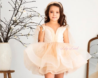 Peach Birthday Girl Dress, Tutu Tulle Flower Girl Dress, Baby Party Dress With Sparkly Top, Short Puffy Prom Dress, Baby Size Dress