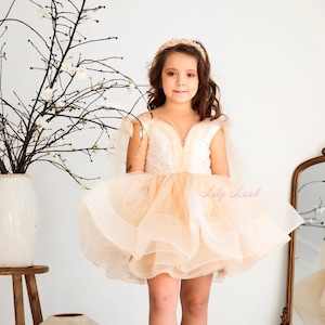 Puffball dress baby discount