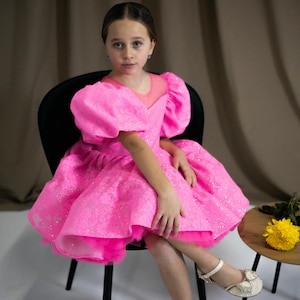 Hot Pink Sparkling Special Occasion Dress, Birthday Dance Party Outfit, Flower Girl Dress, Prom Ball Gown  Tutu Tulle Pageant Toddler Dress