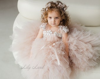 Cappuccino Flower Girl Dress, Tutu Birthday Girl Dress, Puffy Prom Ball Gown, Floral Lace Baby Dress, Special Occasion Toddler Dress