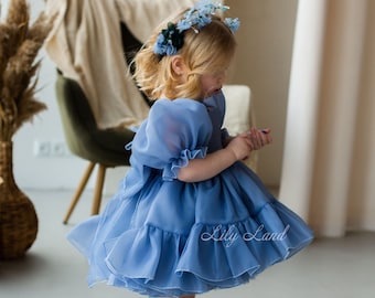 Navy Blue First Birthday Dress, Flower Girl Dress, Puffy Toddler Dress, Organza Prom Gown, Special Occasion Baby Dress, Smash Cake Dress