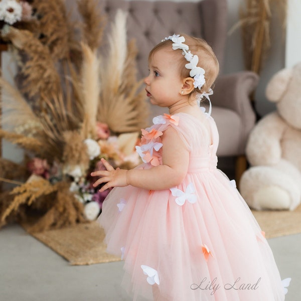 Butterfly First Birthday Baby Dress, Flower Girl Dress, Blush Tulle Tutu Toddler Dress, Prom Gown, Special Occasion, Smash Cake Photoshoot