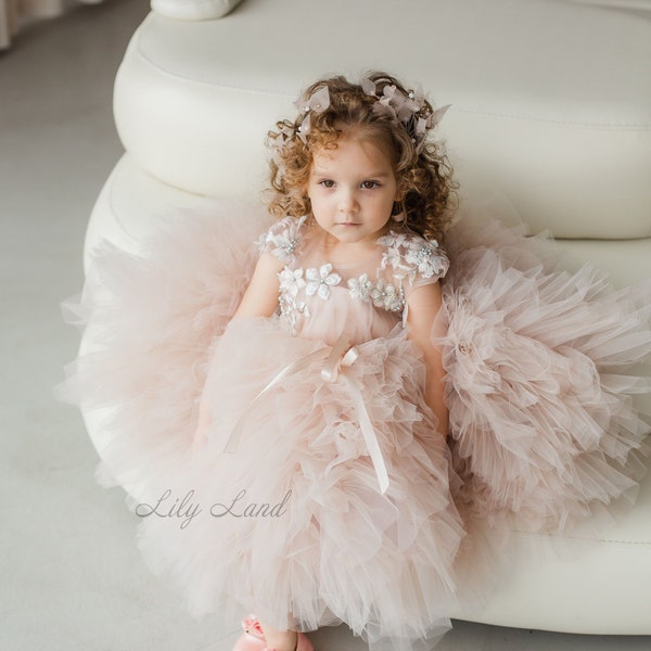 Cappuccino Flower Girl Dress, Tutu Birthday Girl Dress, Puffy Prom Ball Gown, Floral Lace Baby Dress, Special Occasion Toddler Dress