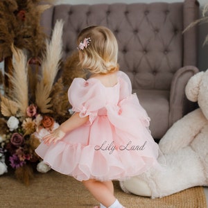 Pink Birthday Toddler Dress, Flower Girl Dress, Puffy Sleeve, Organza Prom Gown, Special Occasion Baby Dress, Smash Cake Photoshoot