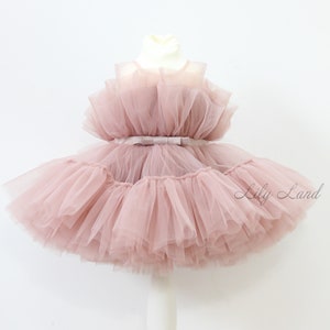 First birthday baby dress, short puffy girl dress, flower girl dress, dance girl dress, birthday girl dress, princess dress, toddler dress