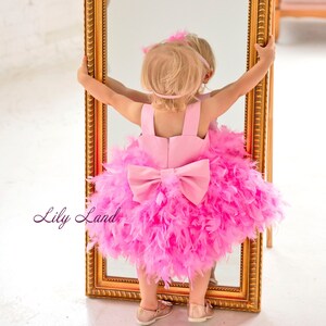 Tutu Baby Girl Birthday Dress, Feathers Baby Dress, First Birthday Dress, Flower Girl Dress, Knee Length, Pageant Girl Dress
