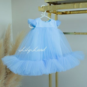 Blue Tutu Prom Ball Gown Special Occasion Toddler Dress, Birthday Party Dress, First Birthday Dress, Flower Girl Dress, Baby Photoshoot