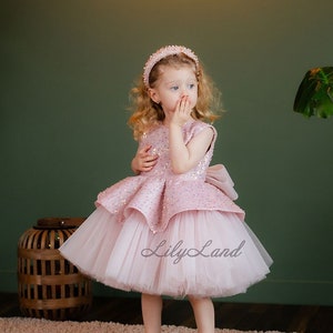 Blush Pink Sparkling Special Occasion Gown, Birthday Party Dress, Tutu Toddler Dress, Princess First Birthday Dress, Baby Photoshoot,