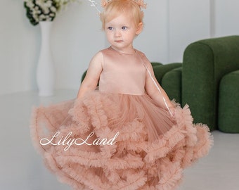 READY TO SHIP, Size 9-12, Cappuccino Photoshoot Baby Pageant Puffy Baby Birthday Party Girl Dress, Prom Ball Gown Christmas Special Occasion