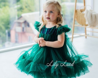 Green Christmas Photoshoot Costume Plaid Christmas Dress For Girl, Christmas Toddler Gown Birthday Party Dress, Short Puffy Tulle Baby Dress