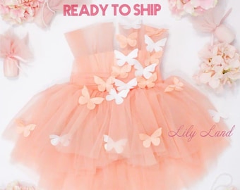 Baby Butterfly Dress, First Birthday Dress With Butterfly, Birthday Girl Dress, READY TO SHIP, Flower Girl Dress, Tutu Tulle Toddler Dress