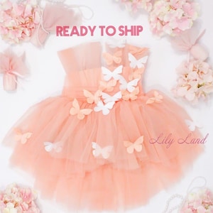 Vestito a farfalla per neonati, vestito per il primo compleanno con farfalla, vestito per bambina, PRONTO PER LA SPEDIZIONE, vestito per damigella, vestito in tulle per bambini