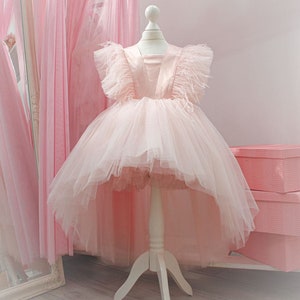 Baby birthday dress, flower girl dress, wedding baby dress, first birthday dress, puffy baby dress, tutu baby dress, princess dress