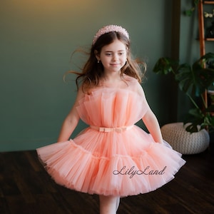 Peach Birthday Baby Princess Dress, Flower Girl Dress, Puffy Girl Dress, Tutu Toddler Baby, Special Ocassion, Prom Gown
