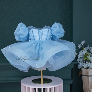 Blaues Kleinkind Baby Festzug Kleid, Geburtstag Party Kleid, Tutu Mädchen Kleid, kurze geschwollene Baby Kleid, Hochzeit Baby Gast, Blumenmädchen Kleid