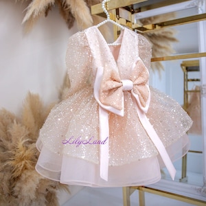 Beige Tutu Sparkling Dress, Birthday Party Baby Dress, First Birthday Party Gift, Special Occasion Sequin Girl Dress, Flower Girl Dress