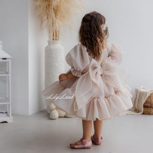 Beige Birthday Party Dress, Tutu Pageant Puffy Dress, Flower Girl Dress, Prom Gown Special Occasion Baby Dress, Smash Cake Photoshoot Look